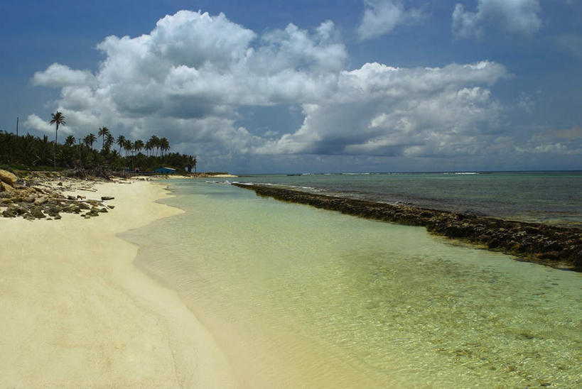 无人,横图,室外,白天,正面,旅游,度假,海浪,海洋,美景,沙滩,植物,棕榈树,叶子,美国,阴影,光线,沙子,影子,海岸,景观,浪花,水平线,云,云朵,辽阔,绿叶,海平线,沙地,首都,云彩,娱乐,树,树木,蓝色,绿色,白云,蓝天,天空,阳光,自然,海水,天,享受,休闲,广阔,嫩叶,景色,放松,生长,晴朗,成长,一望无际,北美,北美洲,自然风光,美洲,海景,棕榈叶,华盛顿特区,首府,华盛顿哥伦比亚特区,华府,北亚美利加洲,亚美利加洲,哥伦比亚特区,无边无际,一马平川,叶,叶片,大海,风浪,海,海水的波动,海滩,近岸浪,涌浪,晴空,彩图,水天相接,水天一线