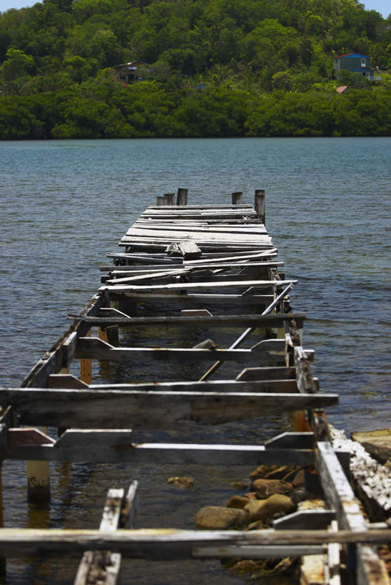 无人,栏杆,竖图,俯视,室外,白天,旅游,度假,海浪,海洋,美景,森林,树林,植物,美国,阴影,光线,木板,影子,景观,浪花,围栏,桥,木桥,首都,娱乐,护栏,栈桥,树,树木,绿色,阳光,自然,海水,享受,休闲,景色,放松,生长,成长,人行桥,木板桥,北美,北美洲,自然风光,美洲,海景,华盛顿特区,首府,华盛顿哥伦比亚特区,华府,北亚美利加洲,亚美利加洲,哥伦比亚特区,大海,风浪,海,海水的波动,近岸浪,涌浪,彩图,高角度拍摄