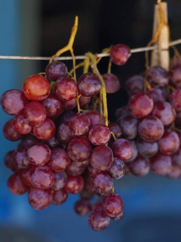 无人,竖图,室内,特写,白天,正面,葡萄,水果,吊挂,悬挂,阴影,朦胧,模糊,新鲜,反射,木制,影子,生食,食品,果实,挂,两串,食物,夹子,晾衣绳,木制品,绳子,有机食品,绿色食品,衣夹,山葫芦,蒲桃,草龙珠,彩图