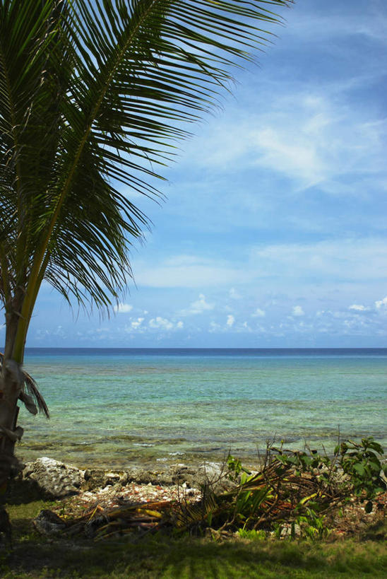 无人,竖图,室外,白天,正面,旅游,度假,海浪,海洋,美景,植物,棕榈树,叶子,美国,阴影,光线,影子,景观,浪花,水平线,云,云朵,辽阔,绿叶,海平线,首都,云彩,娱乐,树,树木,蓝色,绿色,白云,蓝天,天空,阳光,自然,海水,天,享受,休闲,广阔,嫩叶,景色,放松,生长,晴朗,成长,一望无际,北美,北美洲,自然风光,美洲,海景,棕榈叶,华盛顿特区,首府,华盛顿哥伦比亚特区,华府,北亚美利加洲,亚美利加洲,哥伦比亚特区,无边无际,一马平川,叶,叶片,大海,风浪,海,海水的波动,近岸浪,涌浪,晴空,彩图,水天相接,水天一线