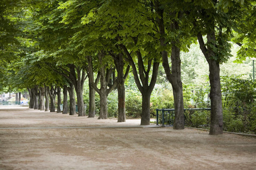 无人,栏杆,横图,室外,白天,正面,度假,美景,树林,植物,城市风光,城市,道路,路,法国,巴黎,欧洲,一排,阴影,整齐,光线,影子,景观,围栏,小路,交通,首都,娱乐,护栏,树,树木,排列,绿色,阳光,自然,享受,休闲,景色,放松,生长,成长,队列,法兰西共和国,法兰西第五共和国,彩图