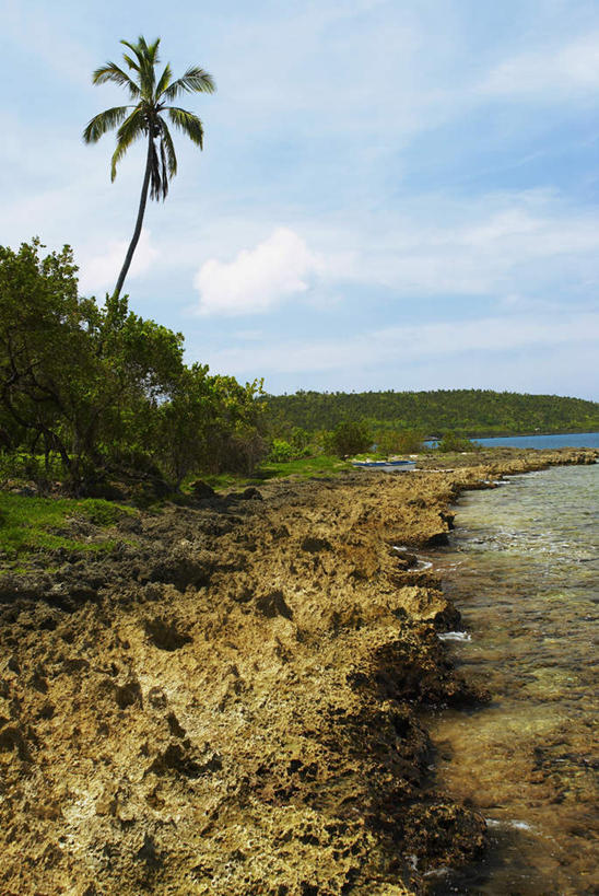 无人,竖图,室外,白天,正面,旅游,度假,草地,草坪,海浪,海洋,美景,沙滩,植物,棕榈树,叶子,哥伦比亚,阴影,光线,沙子,影子,海岸,景观,浪花,云,云朵,绿叶,沙地,云彩,娱乐,草,树,树木,蓝色,绿色,白云,蓝天,天空,阳光,自然,海水,天,享受,休闲,嫩叶,景色,南美,放松,生长,晴朗,成长,南美洲,拉丁美洲,自然风光,美洲,海景,棕榈叶,亚美利加洲,南亚美利加洲,哥伦比亚共和国,叶,叶片,大海,风浪,海,海水的波动,海滩,近岸浪,涌浪,晴空,彩图