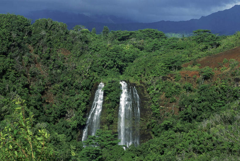 无人,横图,室外,白天,正面,旅游,度假,岛屿,美景,瀑布,森林,山,山脉,树林,水,植物,夏威夷,美国,飞溅,溅,液体,景观,山峰,水滴,乌云,云,阴天,云朵,山峦,云彩,娱乐,水珠,树,树木,绿色,天空,自然,群山,天,享受,休闲,景色,放松,生长,成长,北美,北美洲,昏暗,阴沉,喷洒,自然风光,美洲,夏威夷州,爱洛哈之州,可爱岛,考艾岛,考爱岛,北亚美利加洲,亚美利加洲,花园之岛,跌水,列岛,群岛,诸岛,彩图