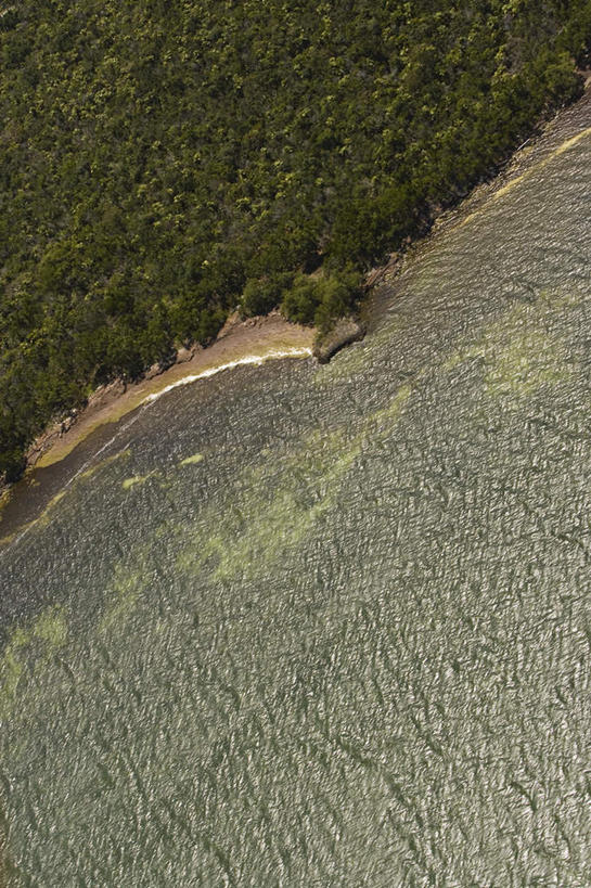 无人,竖图,俯视,航拍,室外,白天,旅游,度假,海浪,海洋,美景,森林,沙滩,树林,植物,美国,沙子,海岸,景观,浪花,沙地,娱乐,树,树木,绿色,自然,海水,享受,休闲,景色,放松,生长,成长,北美,北美洲,鸟瞰,自然风光,美洲,海景,佛罗里达,佛罗里达州,佛州,阳光州,北亚美利加洲,亚美利加洲,佛罗里达半岛,大海,风浪,海,海水的波动,海滩,近岸浪,涌浪,彩图,高角度拍摄,佛罗里达群岛