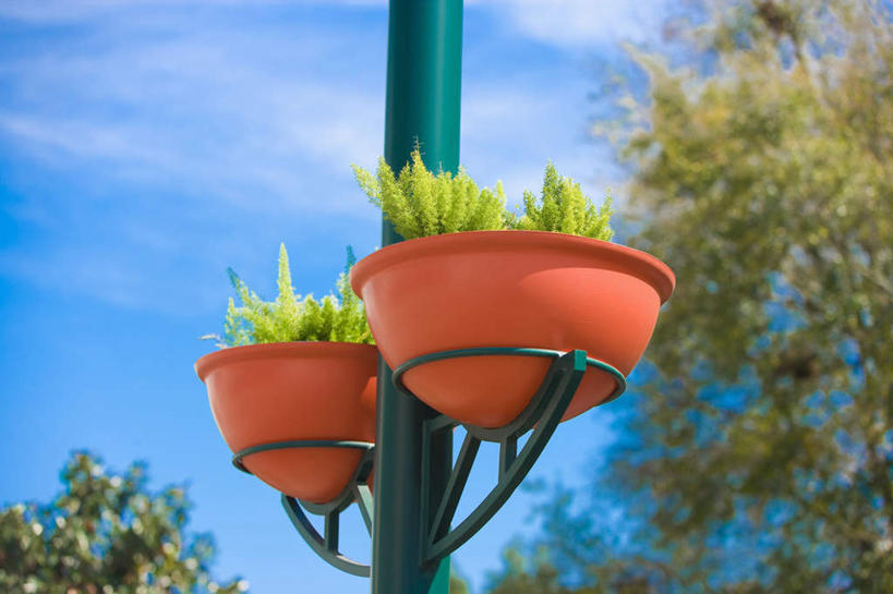 无人,横图,室外,特写,白天,仰视,度假,美景,植物,城市风光,城市,美国,阴影,朦胧,模糊,光线,盆栽,影子,景观,云,云朵,盆景,云彩,娱乐,树,树木,蓝色,绿色,白云,蓝天,天空,阳光,自然,天,享受,休闲,景色,放松,生长,晴朗,成长,北美,北美洲,美洲,佛罗里达,奥兰多,佛罗里达州,佛州,阳光州,北亚美利加洲,亚美利加洲,奥兰多市,晴空,彩图,低角度拍摄