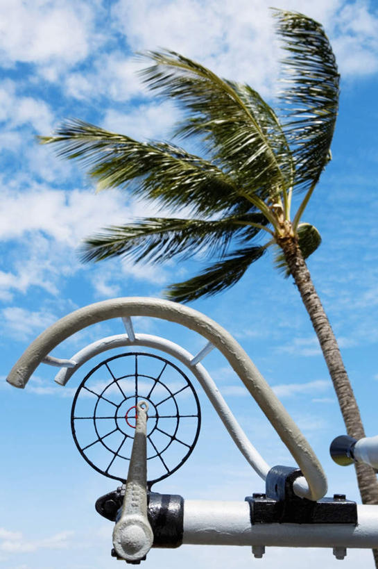 无人,竖图,室外,白天,仰视,度假,岛屿,美景,植物,城市风光,城市,指示牌,棕榈树,叶子,夏威夷,美国,阴影,光线,标志,路标,影子,景观,云,云朵,绿叶,云彩,娱乐,标识,路牌,树,树木,蓝色,绿色,白云,蓝天,天空,阳光,自然,天,享受,休闲,嫩叶,景色,放松,生长,晴朗,成长,北美,北美洲,珍珠港,美洲,棕榈叶,瓦胡岛,欧胡岛,欧湖岛,夏威夷州,爱洛哈之州,北亚美利加洲,亚美利加洲,聚集之岛,叶,叶片,列岛,群岛,诸岛,晴空,彩图,低角度拍摄