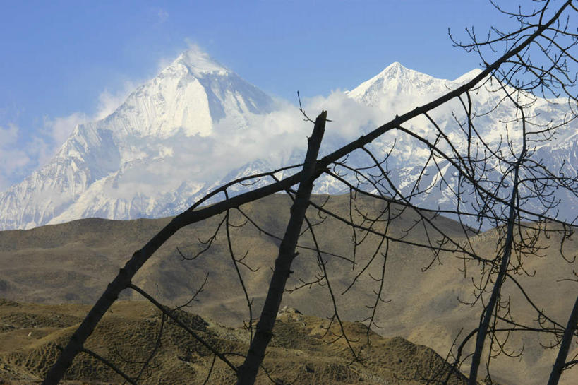 无人,横图,室外,白天,正面,旅游,度假,美景,山,雪,雪山,植物,大雪,尼泊尔,亚洲,阴影,光线,影子,冰,积雪,景观,山峰,雪景,冬季,冬天,枝条,山峦,娱乐,树,树木,树枝,蓝色,蓝天,天空,阳光,自然,天,享受,休闲,景色,放松,寒冷,晴朗,冰冷,自然风光,南亚,万里无云,喜马拉雅山脉,安纳普尔纳峰,尼泊尔王国,喜马拉雅山,严寒,喜马拉雅,冰凉,酷寒,凛冽,凛凛,极冷,虬枝,枝杈,库塘峰,晴空,晴空万里,彩图