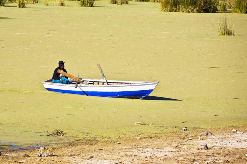 东方人,一个人,坐,横图,室外,白天,侧面,草地,草坪,石头,植物,船,秘鲁,亚洲,仅一个男性,仅一个人,仅一个中年男性,一艘,握,阴影,服装,光线,石子,影子,木船,休闲装,黄种人,草,树,树木,衣服,绿色,阳光,自然,交通工具,休闲,休闲服,南美,握着,服饰,生长,成长,南美洲,舟,拉丁美洲,载具,美洲,秘鲁共和国,普诺,亚美利加洲,南亚美利加洲,玉米之仓,普诺省,男人,男性,中年男性,亚洲人,石块,岩石,坐着,彩图,全身