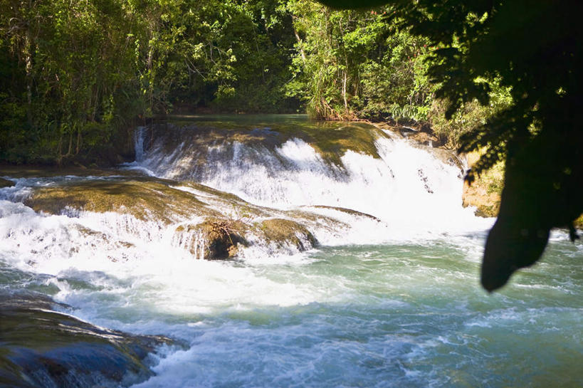 无人,横图,室外,白天,正面,旅游,度假,河流,石头,美景,瀑布,森林,树林,水,植物,墨西哥,飞溅,溅,石子,液体,河水,景观,水滴,水流,娱乐,水珠,树,树木,绿色,自然,享受,休闲,景色,放松,生长,成长,北美,北美洲,喷洒,自然风光,美洲,沉积岩,恰帕斯,恰帕斯州,北亚美利加洲,亚美利加洲,墨西哥合众国,仙人掌王国,水成岩,跌水,石块,岩石,彩图