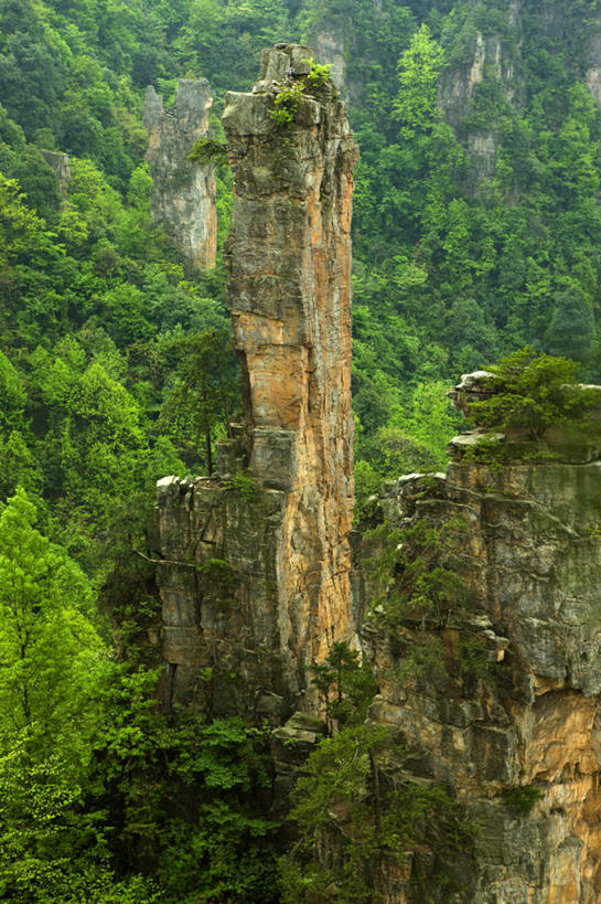 无人,竖图,室外,白天,正面,旅游,度假,石头,美景,森林,山,山脉,树林,植物,张家界,中国,亚洲,石子,景观,山顶,山峰,悬崖,山峦,娱乐,树,树木,绿色,自然,群山,享受,休闲,景色,放松,生长,成长,自然风光,东亚,沉积岩,湖南,湖南省,天子山,中华人民共和国,绝壁,华中地区,湘,张家界市,颠峰,极峰,水成岩,武陵源区,石块,岩石,彩图