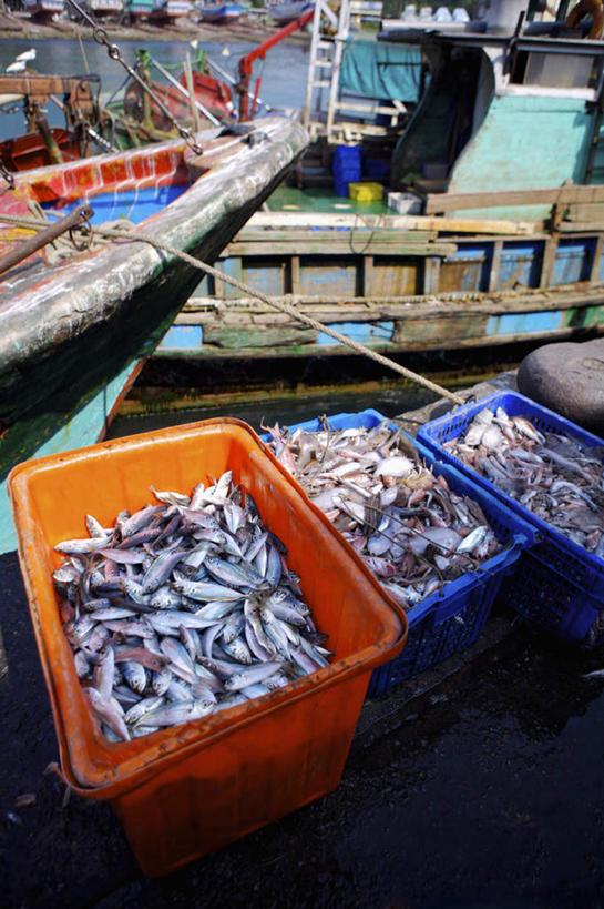 海鲜,无人,码头,竖图,俯视,室外,白天,购物,消费,港口,轮船,船,台湾,中国,亚洲,一堆,许多,堆叠,堆积,鱼,篮子,柱子,塑料,集市,市场,很多,水产,鱼类,海洋生物,容器,塑料制品,交通工具,金融,储藏,堆,储存,载具,水生动物,海产品,缆绳,水生物,选购,贸易,东亚,海底动物,系船柱,缆绳桩,缆绳柱,系缆桩,港澳台,中华人民共和国,台湾省,半身,彩图,高角度拍摄,摆渡口,埠头,渡口,渡头,港湾,海港,货运码头,口岸,商港,鱼市,贮存,台