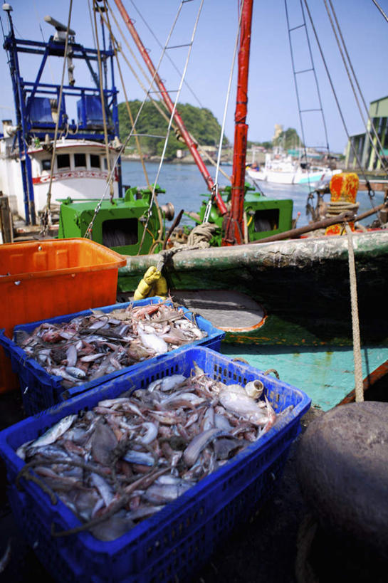 海鲜,无人,码头,竖图,室外,白天,正面,植物,港口,轮船,船,台湾,中国,亚洲,一堆,许多,阴影,堆叠,堆积,光线,鱼,篮子,影子,柱子,很多,水产,鱼类,海洋生物,树,树木,蓝色,绿色,蓝天,天空,阳光,自然,容器,交通工具,天,生长,晴朗,成长,储藏,堆,储存,载具,水生动物,海产品,缆绳,水生物,东亚,海底动物,万里无云,系船柱,缆绳桩,缆绳柱,系缆桩,港澳台,中华人民共和国,台湾省,晴空,晴空万里,彩图,全身,摆渡口,埠头,渡口,渡头,港湾,海港,货运码头,口岸,商港,贮存,台