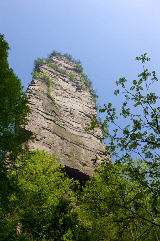 无人,公园,竖图,室外,白天,仰视,旅游,度假,石头,美景,森林,山,山脉,树林,植物,张家界,中国,亚洲,阴影,光线,石子,影子,景观,山顶,山峰,悬崖,山峦,娱乐,树,树木,蓝色,绿色,蓝天,天空,阳光,自然,群山,天,享受,休闲,景色,放松,生长,晴朗,成长,自然风光,东亚,沉积岩,湖南,湖南省,森林公园,万里无云,张家界国家森林公园,中华人民共和国,绝壁,华中地区,湘,张家界市,颠峰,极峰,水成岩,石块,岩石,晴空,晴空万里,彩图,低角度拍摄,金鞭溪