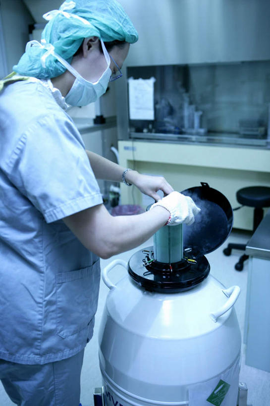 东方人,一个人,医生,医院,站,竖图,室内,白天,侧面,工作服,制服,科技,帽子,亚洲,仅一个年轻女性,仅一个女性,仅一个人,握,阴影,反射,分离,科学,医学,液体,影子,过滤,拿,分开,拿着,注视,黄种人,口罩,容器,手套,观察,看,站着,医护人员,医疗人员,怀孕,隔断,橡胶,油罐,储油罐,握着,遮掩,观看,储藏,隔离,察看,医疗,卫生,科学技术,掩盖,遮挡,储存,关注,净化,人工受精,间隔,防护服,橡胶手套,预防,隔离服,橡胶制品,无菌服,遮盖,防尘,试管婴儿,医疗机构,医生帽,医用手套,掩饰,断绝,隔开,屏蔽,屏绝,远离,中断,阻遏,阻隔,工作制服,无色,无味,存油罐,贮油罐,年轻女性,女人,女性,亚洲人,大夫,站立,半身,彩图,工作套服,病院,诊所,防静电工装,隔工作服,洁净工装,洁净工作服,净化服,无尘工作服,无尘衣,不可燃,惰性,无腐蚀性,液氮,氮气,贮存,体外受精,体外受孕,低温