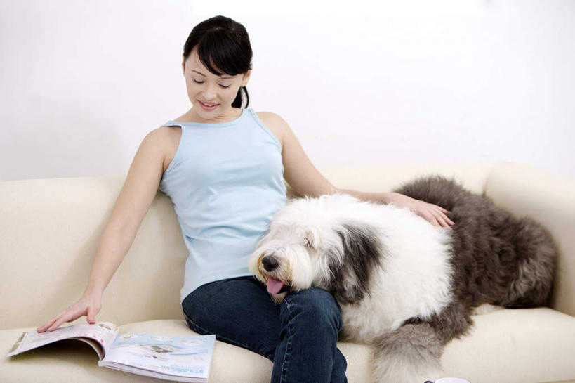 东方人,一个人,客厅,坐,笑,摸,微笑,露齿笑,横图,室内,白天,正面,阅读,沙发,宠物,狗,杂志,吊带,亚洲,仅一个年轻女性,仅一个女性,仅一个人,一本,抚摸,学习,阴影,服装,反射,影子,墙,注视,吊带衫,黄种人,墙壁,墙面,一只,衣服,白色,动物,低头,观察,看,可爱,读书,浏览,服饰,牧羊犬,观看,察看,起居室,衣着,穿着,关注,布艺沙发,忠诚,垂头,古代牧羊犬,古牧,截尾犬,英国古代牧羊犬,衣饰,客堂,年轻女性,女人,女性,亚洲人,犬,触摸,接触,坐着,半身,彩图