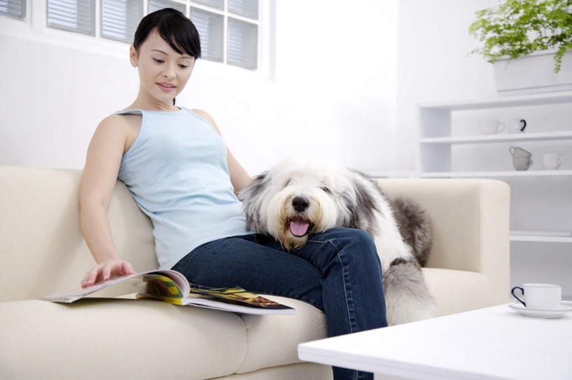 东方人,一个人,客厅,坐,笑,摸,微笑,露齿笑,横图,室内,白天,正面,阅读,植物,沙发,宠物,狗,杂志,吊带,亚洲,仅一个年轻女性,仅一个女性,仅一个人,一本,抚摸,学习,阴影,服装,反射,盆栽,影子,墙,盆景,置物架,注视,吊带衫,黄种人,架子,墙壁,墙面,一只,衣服,绿色,白色,自然,动物,低头,观察,看,趴着,可爱,读书,浏览,服饰,生长,牧羊犬,成长,观看,察看,起居室,衣着,穿着,关注,陈列架,布艺沙发,忠诚,垂头,古代牧羊犬,古牧,截尾犬,英国古代牧羊犬,衣饰,搁架,客堂,年轻女性,女人,女性,亚洲人,犬,触摸,接触,趴,坐着,半身,彩图