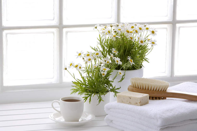 咖啡,无人,横图,室内,特写,白天,正面,爱情,化妆,美容,幸福,植物,窗户,杯子,餐具,一块,护肤,阴影,朦胧,模糊,盛开,反射,瓷器,碟子,纺织物,盘,盆栽,影子,茼蒿菊,咖啡杯,盆景,陶瓷制品,一杯,花蕾,娱乐,玻璃窗,花,花瓣,花朵,鲜花,饮料,绿色,自然,盘子,化妆品,刷子,肥皂,碟,毛巾,香皂,日用品,洗浴用品,花苞,花蕊,清洁,保养,享受,休闲,温馨,菊花,放松,乐趣,保健,生长,成长,保暖,吉祥,提神,舒适,护肤品,化妆用品,沐浴刷,清洁用具,瓷杯,醒脑,护肤用品,舒缓,透气,养颜,防水,去污,紧肤,嫩肤,高洁,软饮料,长寿,蓬蒿菊,怀恋,清净,真情,寿客,秋菊,洗浴用具,储水,耐磨,吸水,木春菊,木茼蒿,洗涤,彩图