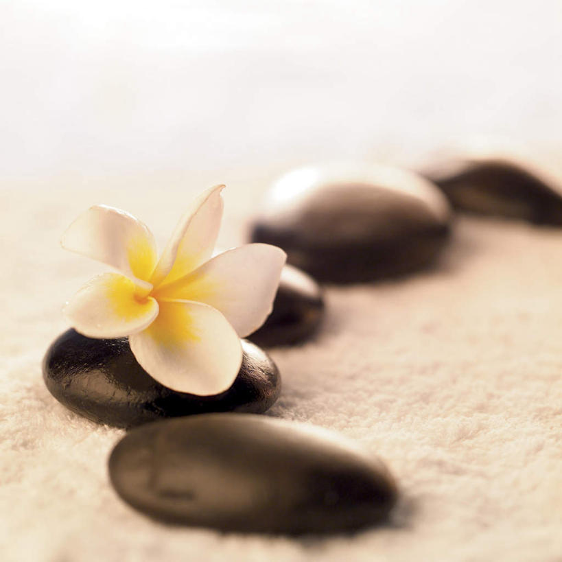 无人,方图,俯视,室内,特写,白天,石头,一排,阴影,朦胧,模糊,整齐,盛开,反射,石子,影子,花蕾,赤素馨花,花,花瓣,花朵,鲜花,排列,一朵,黑色,花苞,花蕊,鹅卵石,队列,按摩石,缅栀子,蛋黄花,鸡蛋花,缅栀花,五块,大季花,印度素馨,石块,彩图,高角度拍摄