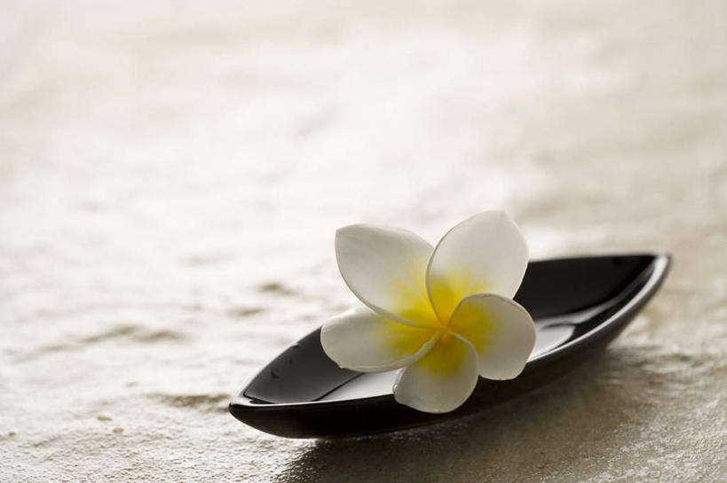 无人,横图,俯视,室内,特写,白天,餐具,朦胧,模糊,盛开,碟子,盘,花蕾,赤素馨花,花,花瓣,花朵,鲜花,一朵,一个,黄色,白色,盘子,碟,花苞,花蕊,单个,缅栀子,蛋黄花,鸡蛋花,缅栀花,大季花,印度素馨,彩图,高角度拍摄