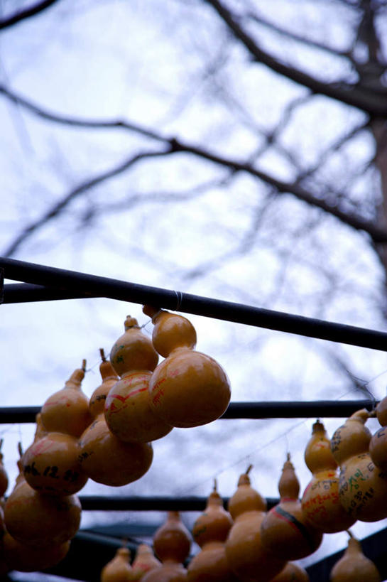 无人,竖图,室外,特写,白天,仰视,旅游,度假,美景,森林,树林,植物,朝鲜,韩国,亚洲,一排,许多,吊挂,悬挂,阴影,朦胧,模糊,整齐,并列,并排,光线,葫芦,影子,景观,很多,挂,娱乐,树,树木,排列,蓝色,绿色,蓝天,天空,阳光,自然,天,享受,休闲,景色,放松,生长,晴朗,成长,队列,自然风光,平行,东亚,万里无云,大韩民国,朝鲜半岛,朝鲜民主主义人民共和国,韩半岛,晴空,晴空万里,彩图,低角度拍摄