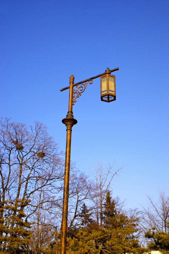 无人,竖图,室外,白天,仰视,植物,路灯,照明,朝鲜,韩国,亚洲,阴影,光线,影子,灯光,灯,树,树木,蓝色,绿色,蓝天,天空,阳光,自然,天,生长,晴朗,成长,照亮,照明设备,东亚,万里无云,大韩民国,朝鲜半岛,朝鲜民主主义人民共和国,韩半岛,晴空,晴空万里,彩图,低角度拍摄