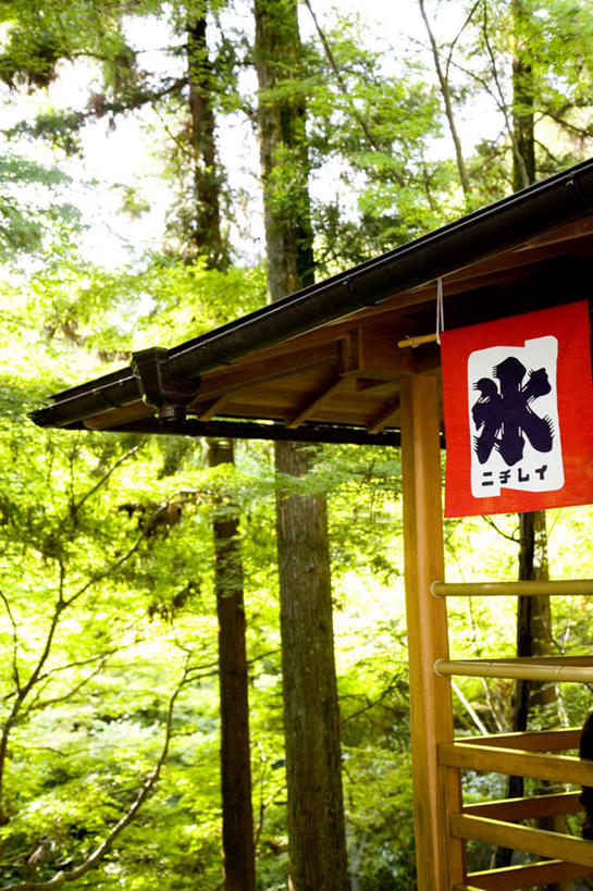 无人,竖图,室外,白天,正面,旅游,度假,美景,森林,树林,植物,旗帜,京都,日本,亚洲,阴影,光线,日文,标志,文字,影子,字符,亭子,景观,娱乐,标识,旗子,树,树木,蓝色,绿色,蓝天,天空,阳光,自然,天,享受,休闲,景色,放松,京都府,生长,晴朗,成长,自然风光,东亚,本州,万里无云,本州岛,日本国,近畿地方,近畿,日语,旌旗,旗号,晴空,晴空万里,彩图