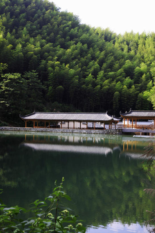 无人,竖图,室外,白天,正面,旅游,度假,纯洁,湖,湖泊,黄山,美景,水,竹子,中国,亚洲,亭子,湖面,景观,水流,水面,竹林,娱乐,自然,湖水,享受,休闲,景色,放松,高雅,自然风光,东亚,安徽,安徽省,黄山市,中华人民共和国,华东地区,奉献,皖,质朴,正直,担当,亭台楼阁,竹,彩图,亭台,奋进,操守,四君子,岁寒三友,性坚,虚怀,虚心,善群,卓尔