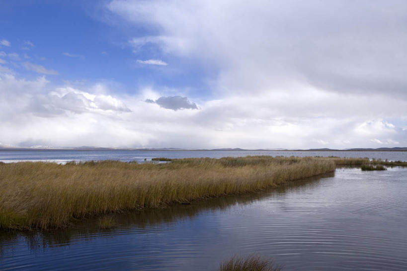 无人,横图,室外,白天,正面,旅游,度假,湖,湖泊,美景,水,植物,中国,亚洲,阴影,波纹,枯萎,光线,影子,湖面,景观,水流,水面,云,云朵,枯草,涟漪,云彩,娱乐,草,黄色,蓝色,白云,倒影,蓝天,水纹,天空,阳光,自然,波浪,湖水,天,享受,休闲,景色,放松,四川省,晴朗,倒映,自然风光,东亚,四川,阿坝,中华人民共和国,水晕,西南地区,阿坝藏族羌族自治州,阿坝州,川,反照,晴空,彩图,花湖,热尔大坝,若尔盖县