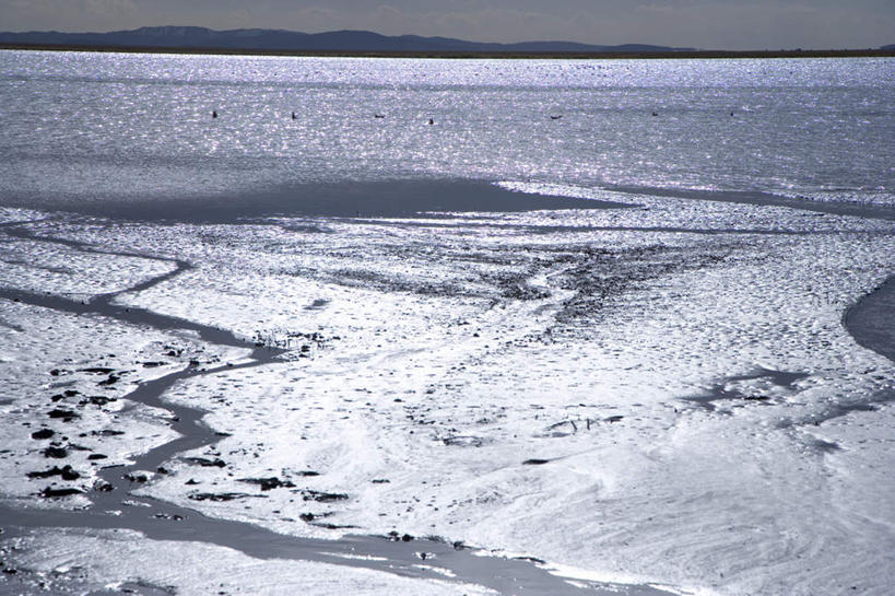 无人,横图,室外,白天,正面,旅游,度假,湖,湖泊,美景,山,山脉,水,中国,亚洲,阴影,波纹,光线,影子,湖面,景观,山峰,水流,水面,涟漪,山峦,娱乐,蓝色,倒影,蓝天,水纹,天空,阳光,自然,波浪,湖水,群山,天,享受,休闲,景色,放松,四川省,晴朗,倒映,自然风光,东亚,四川,阿坝,万里无云,中华人民共和国,水晕,西南地区,阿坝藏族羌族自治州,阿坝州,川,反照,晴空,晴空万里,彩图,花湖,热尔大坝,若尔盖县