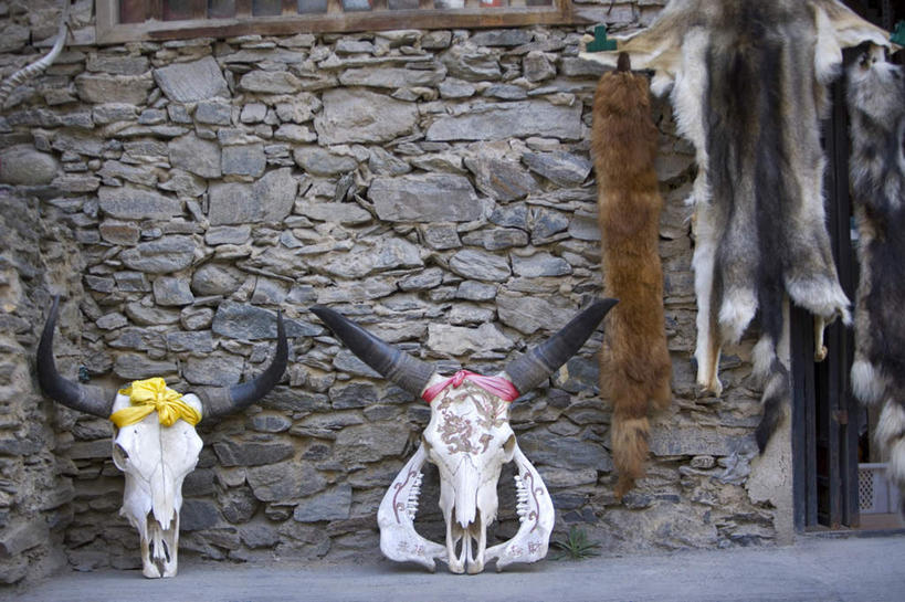 颅骨,无人,横图,室外,白天,正面,旅游,度假,石头,美景,中国,亚洲,一排,许多,阴影,整齐,光线,石子,影子,墙,景观,娱乐,墙壁,墙面,排列,阳光,自然,享受,休闲,景色,放松,四川省,队列,自然风光,毛皮,东亚,四川,中华人民共和国,西南地区,川,鼻骨,顶骨,额骨,颈椎,颞骨,下颌骨,颧骨,头盖骨,石块,岩石,彩图