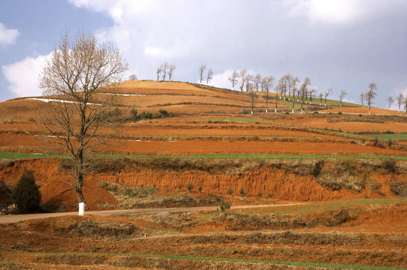 无人,农田,横图,室外,白天,正面,旅游,度假,庄稼,农作物,草地,草坪,美景,植物,昆明,中国,亚洲,阴影,光线,影子,景观,云,云朵,云彩,娱乐,云南,草,树,树木,蓝色,绿色,白云,蓝天,天空,阳光,自然,天,享受,休闲,景色,放松,生长,晴朗,成长,自然风光,昆明市,东亚,云南省,东川,中华人民共和国,省会,西南地区,滇,晴空,彩图,耕地,庄稼田,东川红土地,东川区,新田乡