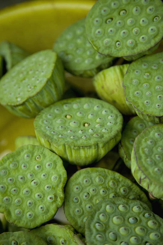 无人,竖图,俯视,室外,特写,白天,一堆,许多,阴影,堆叠,堆积,朦胧,模糊,光线,影子,阳光,莲蓬,堆,莲蓬子,莲子肉,彩图,高角度拍摄