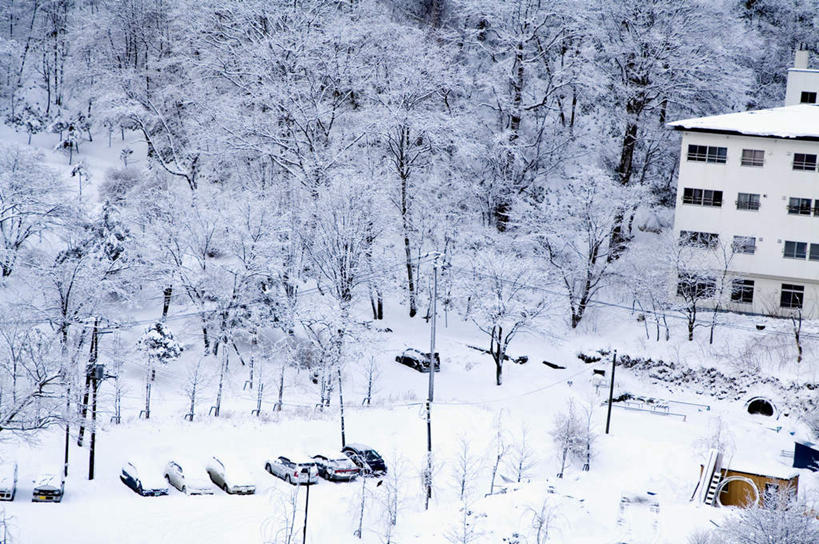 无人,家,横图,俯视,室外,白天,旅游,度假,美景,温泉,雪,植物,雾,大雪,北海道,日本,亚洲,沸腾,蒸汽,房屋,屋子,积雪,景观,雪景,冬季,冬天,水蒸气,雾气,娱乐,楼房,住宅,树,树木,绿色,自然,享受,休闲,温暖,景色,放松,寒冷,泉水,生长,温和,成长,气体,自然风光,东亚,日本国,蒸发,北海道地方,北海道岛,严寒,登别市,地热,彩图,高角度拍摄,房子,登别温泉,胆振支厅