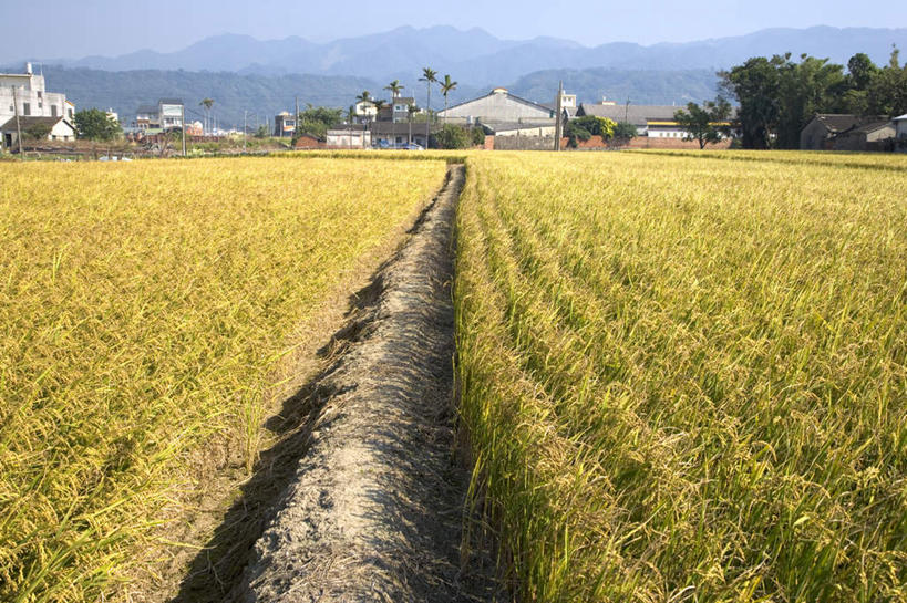 无人,家,农田,横图,室外,白天,正面,旅游,度假,庄稼,农作物,草地,草坪,石头,美景,山,山脉,树林,植物,台湾,中国,亚洲,阴影,光线,石子,影子,房屋,屋子,景观,山顶,山峰,山峦,娱乐,楼房,住宅,草,树,树木,蓝色,绿色,蓝天,天空,阳光,自然,群山,天,享受,休闲,景色,放松,生长,晴朗,成长,自然风光,东亚,沉积岩,万里无云,港澳台,中华人民共和国,台湾省,颠峰,极峰,水成岩,石块,岩石,晴空,晴空万里,彩图,耕地,庄稼田,房子,苗栗县,苗栗,台