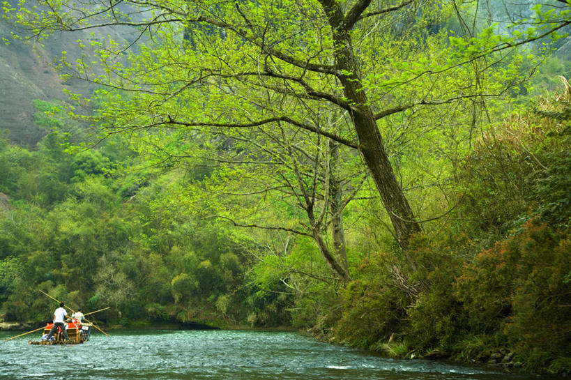 无人,横图,室外,白天,正面,旅游,度假,河流,美景,山,山脉,树林,水,植物,船,武夷山,中国,亚洲,一艘,河水,景观,山峰,水流,木船,山峦,娱乐,树,树木,绿色,自然,交通工具,群山,享受,休闲,景色,放松,生长,成长,舟,自然风光,载具,福建,东亚,福建省,中华人民共和国,华东地区,闽,彩图,武夷山市
