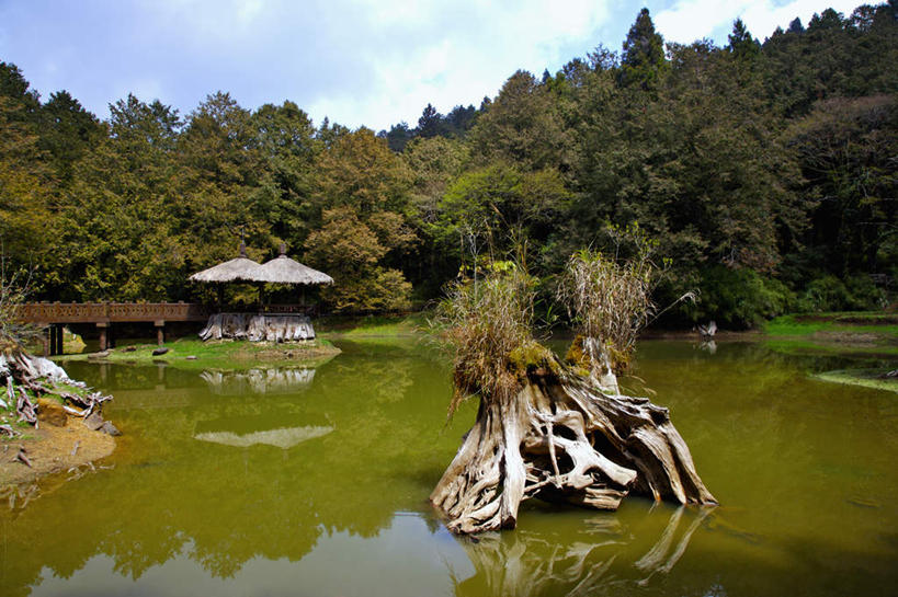 无人,横图,室外,白天,正面,旅游,度假,湖,湖泊,美景,树林,水,植物,台湾,中国,亚洲,阴影,光线,影子,亭子,湖面,景观,水流,水面,云,云朵,云彩,娱乐,树,树木,蓝色,绿色,白云,蓝天,天空,阳光,自然,湖水,天,享受,休闲,景色,放松,生长,晴朗,成长,自然风光,东亚,嘉义,阿里山,港澳台,中华人民共和国,台湾省,嘉义市,晴空,彩图,台