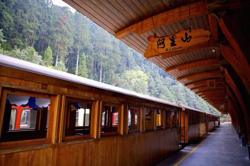 无人,横图,室外,白天,仰视,度假,美景,树林,植物,城市风光,城市,火车,车站,台湾,中国,亚洲,一辆,景观,站台,娱乐,月台,车,树,树木,绿色,自然,交通工具,享受,休闲,景色,放松,生长,成长,载具,东亚,嘉义,阿里山,港澳台,中华人民共和国,台湾省,嘉义市,彩图,低角度拍摄,台