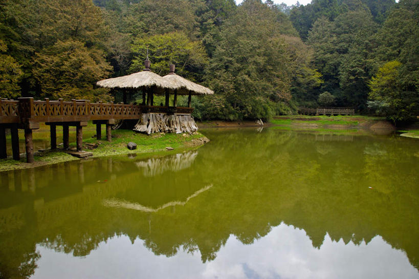 无人,横图,室外,白天,正面,旅游,度假,湖,湖泊,美景,树林,水,植物,标志建筑,地标,建筑,台湾,中国,亚洲,木板,湖面,景观,水流,水面,建筑群,桥,木桥,娱乐,建设,栈桥,树,树木,绿色,自然,凉亭,湖水,享受,休闲,景色,放松,生长,成长,人行桥,木板桥,自然风光,东亚,嘉义,阿里山,港澳台,中华人民共和国,台湾省,嘉义市,彩图,台