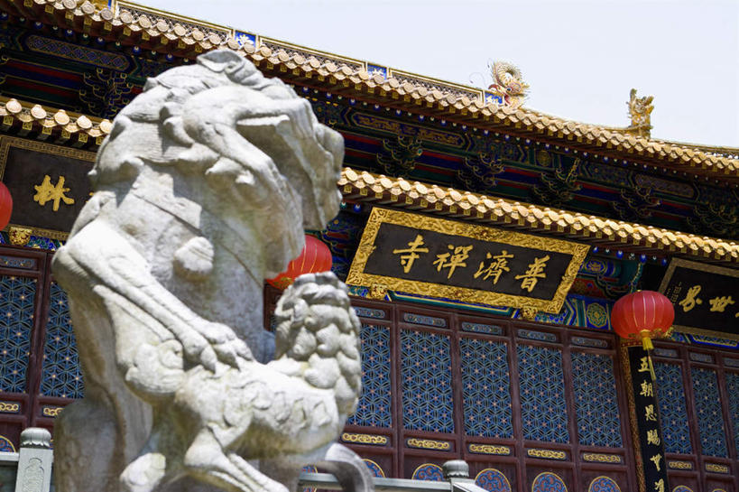 无人,横图,室外,白天,仰视,旅游,度假,名胜古迹,标志建筑,地标,建筑,哺乳动物,野生动物,狮子,照明,雕塑,中国,亚洲,阴影,辟邪,遗迹,艺术,装饰,光线,标志,灯笼,雕刻,雕像,牌匾,文字,影子,纸灯笼,字符,古迹,文化,文物,娱乐,标识,建设,古建筑,浙江,石雕,浙江省,蓝色,蓝天,天空,阳光,动物,工艺品,灯具,石狮,天,祈祷,享受,休闲,健康,汉字,旅游胜地,放松,许愿,晴朗,纪念,祈求,照亮,美术,照明设备,中文,主题,凶猛,陈列,古文明,东亚,普陀区,普济寺,万里无云,中华人民共和国,华东地区,浙,功能,美学,驱邪,祛邪,避邪,国文,华文,舟山,舟山市,守护神,残暴,平安,凶残,晴空,晴空万里,彩图,低角度拍摄,普济禅院