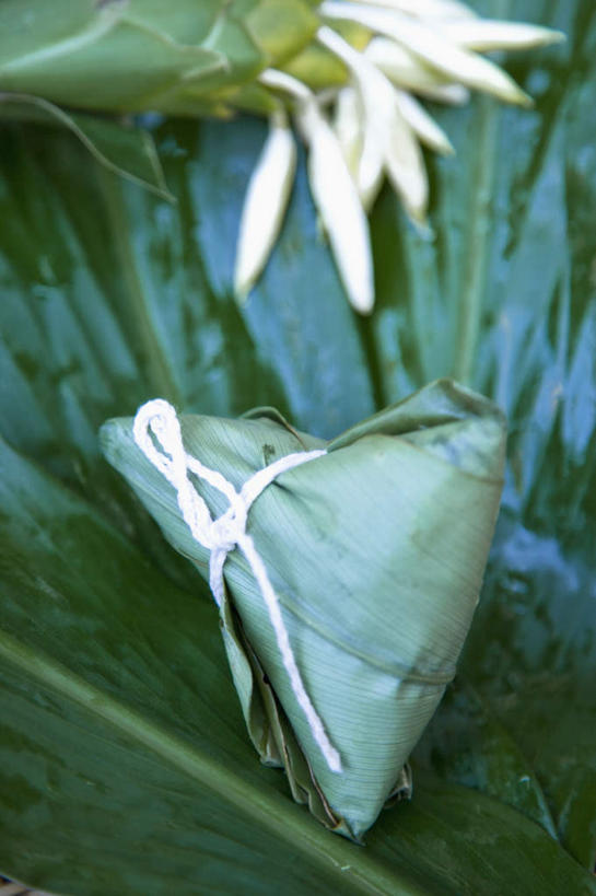 无人,竖图,室外,特写,白天,正面,叶子,端午节,吊挂,悬挂,阴影,节日,朦胧,模糊,庆祝,盛开,反射,影子,粽叶,绿叶,挂,粽子,花蕾,文化,花,花瓣,花朵,鲜花,花苞,花蕊,庆典,嫩叶,纪念,箬叶,芦苇叶,角黍,筒粽,叶,叶片,彩图