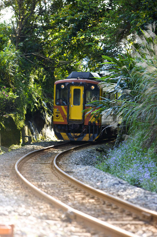 无人,竖图,室外,白天,正面,度假,美景,树林,植物,城市风光,城市,路,铁路,火车,台湾,中国,亚洲,一辆,景观,轨道,交通,铁轨,娱乐,车,树,树木,绿色,自然,交通工具,享受,休闲,景色,放松,运输,生长,成长,载具,东亚,台北县,港澳台,中华人民共和国,台湾省,新北,新北市,彩图,平溪区,台