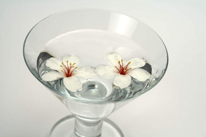 无人,横图,俯视,室内,特写,白天,白色背景,水,杯子,阴影,朦胧,模糊,盛开,反射,高脚杯,液体,影子,水滴,红酒杯,花蕾,玻璃制品,花,花瓣,花朵,鲜花,两朵,一个,白色,酒杯,花苞,花蕊,摄影,影棚,单个,葡萄酒杯,玻璃杯,彩图,高角度拍摄,影棚拍摄,拍摄,心神不宁,情窦初开,油桐花,三平桐,光桐