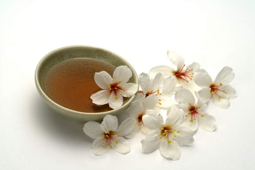 无人,横图,俯视,室内,特写,白天,白色背景,幸福,茶,杯子,许多,阴影,盛开,反射,影子,茶叶,一杯,花蕾,娱乐,花,花瓣,花朵,鲜花,排列,一个,白色,水杯,花苞,花蕊,享受,休闲,温馨,放松,乐趣,摄影,影棚,单个,提神,舒适,醒脑,摆列,茶杯,彩图,高角度拍摄,影棚拍摄,拍摄,心神不宁,情窦初开,油桐花,三平桐,光桐,布列,分列