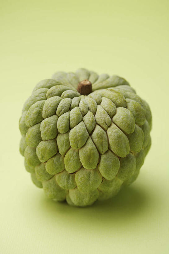 无人,竖图,俯视,室内,特写,白天,餐桌,桌子,水果,绿色背景,阴影,新鲜,反射,影子,生食,食品,果实,食物,一个,绿色,番荔枝,摄影,有机食品,绿色食品,影棚,单个,餐台,释迦,佛头果,凤梨释迦,蜜释迦,释迦凤梨,彩图,高角度拍摄,影棚拍摄,拍摄