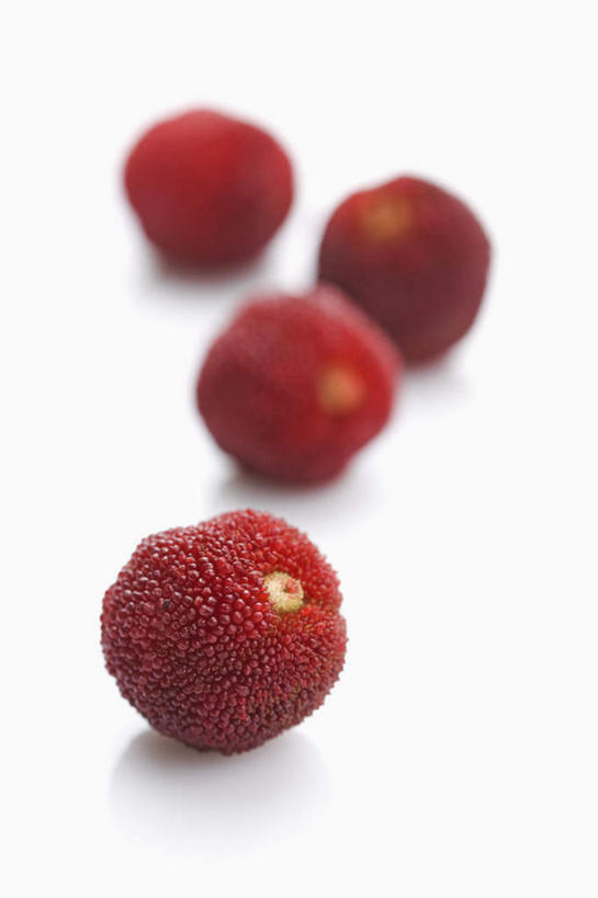 无人,竖图,俯视,室内,特写,白天,白色背景,餐桌,桌子,水果,阴影,朦胧,模糊,新鲜,反射,影子,生食,食品,果实,食物,红色,四个,摄影,杨梅,有机食品,绿色食品,影棚,餐台,白蒂梅,圣生梅,彩图,高角度拍摄,影棚拍摄,拍摄