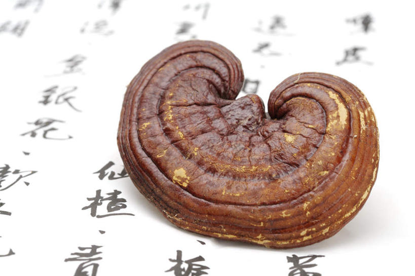 无人,横图,俯视,室内,特写,白天,植物,餐桌,桌子,灵芝,阴影,艺术,反射,标志,书法,文字,影子,字符,菌菇,褐色,草药,药草,文化,标识,中药,一个,汉字,摄影,影棚,单个,餐台,中文,毛笔字,药材,中草药,中药材,本草,国文,华文,芝草,仙草,神芝,瑞草,灵芝草,彩图,高角度拍摄,影棚拍摄,拍摄,中国书法