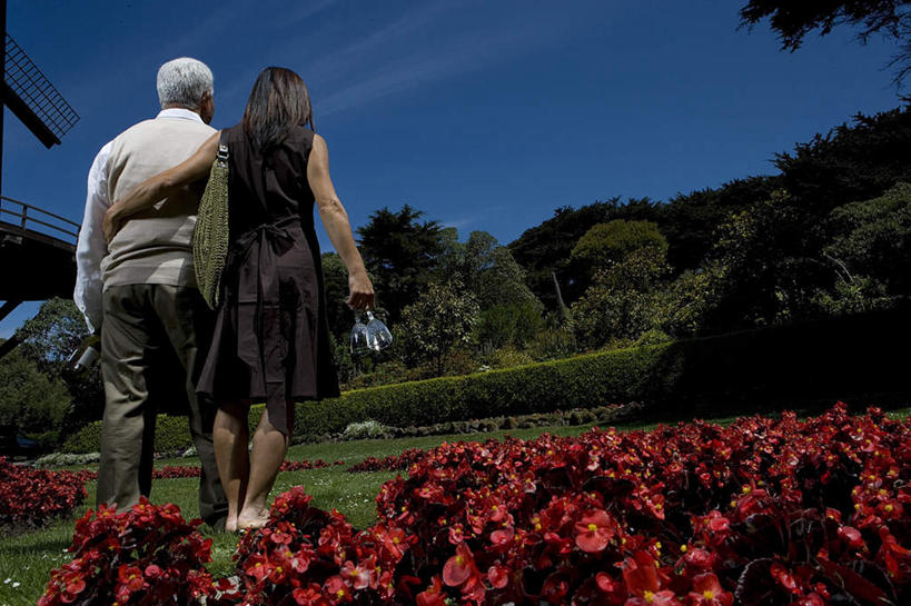 东方人,中年人,两个人,家庭,夫妻,站,抱,横图,室外,白天,仰视,高跟鞋,裙子,爱情,时尚,草地,草坪,花海,花圃,树林,植物,鞋子,叶子,亚洲,握,阴影,连衣裙,服装,盛开,光线,影子,云,云朵,浪漫,拿,花蕾,云彩,拿着,休闲装,黄种人,光脚,草,花,花瓣,花朵,花卉,鲜花,树,树木,衣服,蓝色,绿色,白云,蓝天,天空,阳光,自然,花丛,花束,花田,天,花苞,花蕊,站着,休闲,温暖,温馨,一家人,赤脚,休闲服,恩爱,握着,恋人,服饰,生长,晴朗,成长,抱着,和睦,搂着,时髦,时兴,男人,男性,女人,女性,中年男性,中年女性,亚洲人,夫妇,情侣,晴空,搂,搂抱,站立,彩图,低角度拍摄,全身,伴侣,融洽