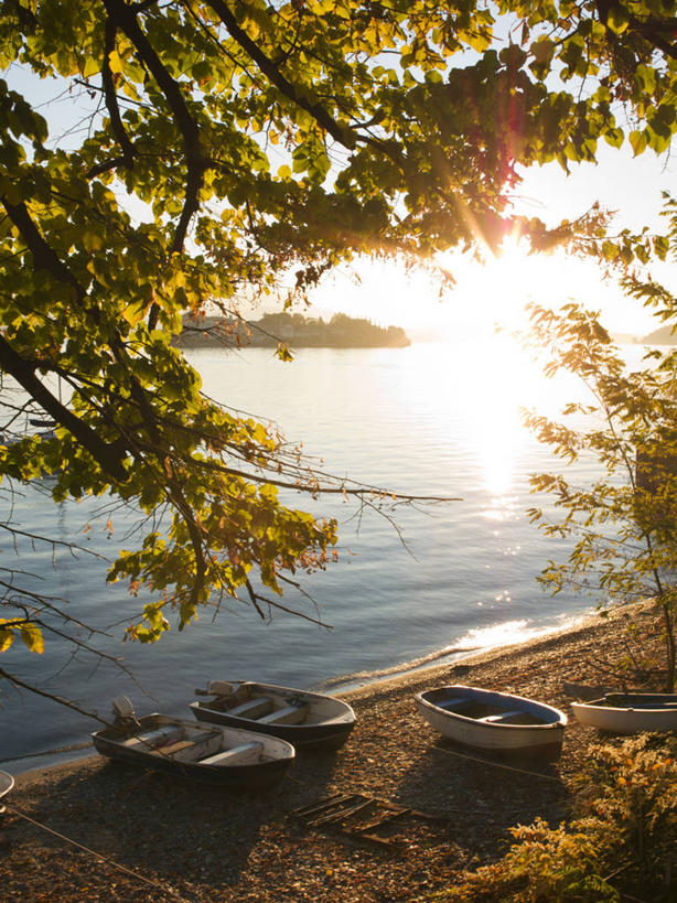 无人,竖图,俯视,室外,白天,旅游,度假,美景,植物,船,意大利,欧洲,三只,阴影,枯萎,光线,影子,景观,木船,枯草,枝条,娱乐,草,树,树木,树枝,黄色,阳光,自然,交通工具,享受,休闲,景色,放松,舟,南欧,自然风光,载具,意大利共和国,虬枝,枝杈,马焦雷湖,彩图,高角度拍摄