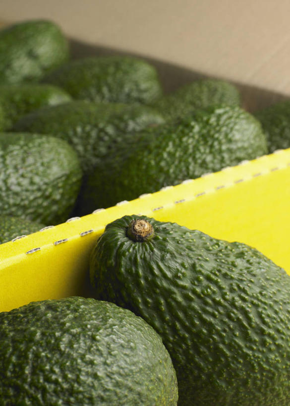 无人,竖图,俯视,室内,特写,白天,水果,一堆,许多,堆叠,堆积,朦胧,模糊,新鲜,包装,纸箱,生食,食品,果实,很多,食物,容器,箱子,酪梨,鳄梨,有机食品,绿色食品,堆,油梨,纸板箱,包装箱,樟梨,牛油果,彩图,高角度拍摄