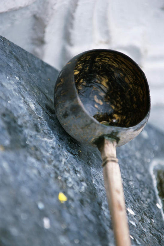 无人,竖图,俯视,室外,特写,白天,静物,阴影,朦胧,模糊,反射,影子,勺子,一个,调羹,汤匙,单个,彩图,高角度拍摄